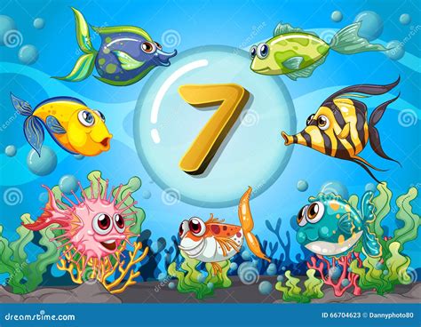 fish 7|Fish numbers .